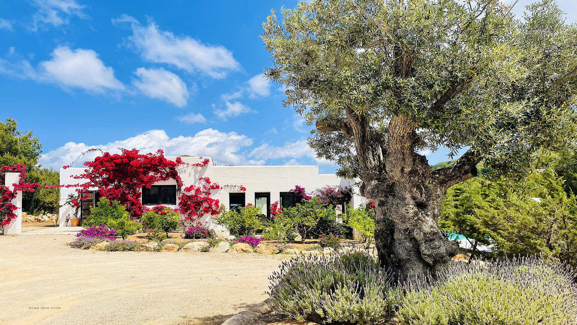 VILLA VISTA DE MUNTANYA - 6 Bedrooms - Cala Tarida/Cala Moli/San Jose