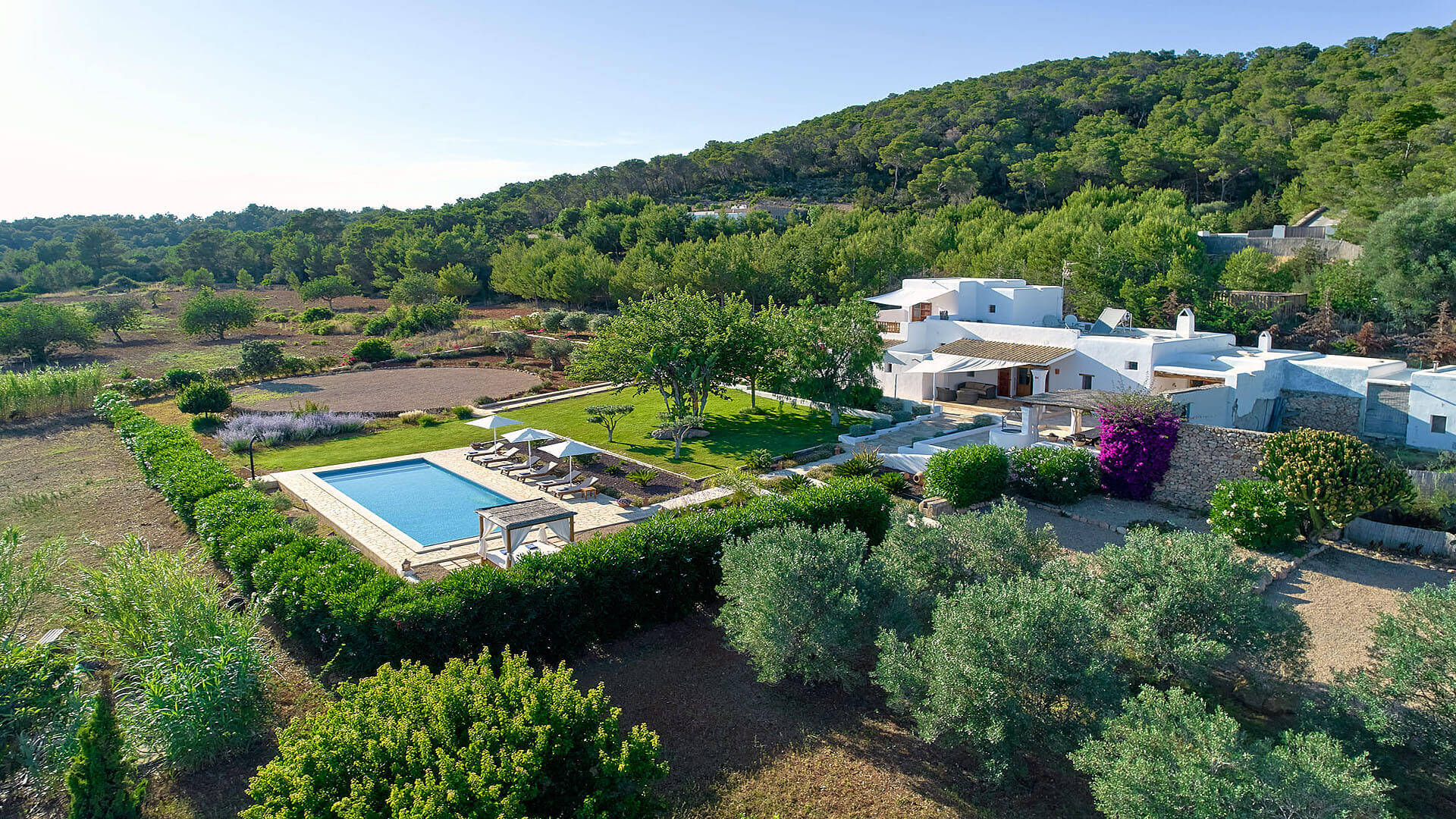 VILLA FINCA MAGO - 5 Bedrooms - Santa Gertrudis/Santa Eulalia (Rural)