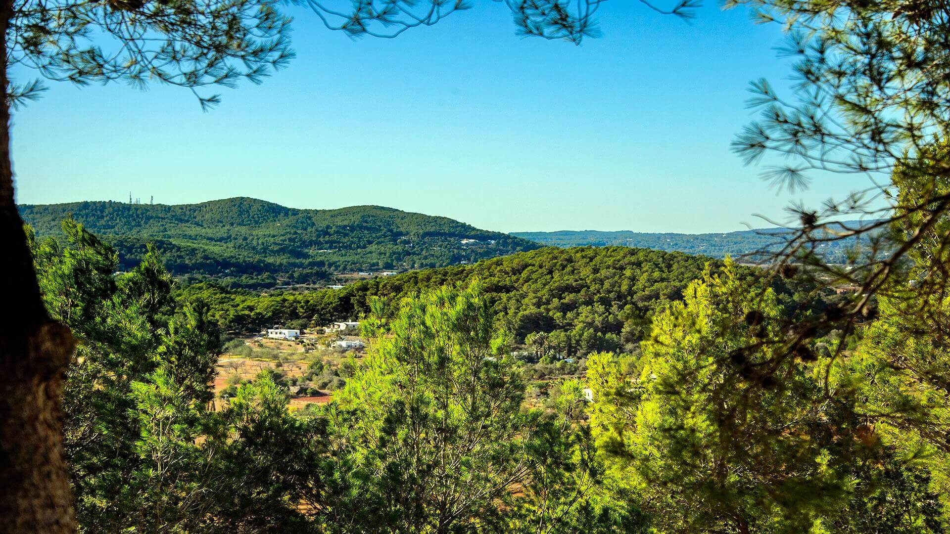 VILLA PRIMAVERA - 4 Bedrooms - San Carlos/Las Dalias 