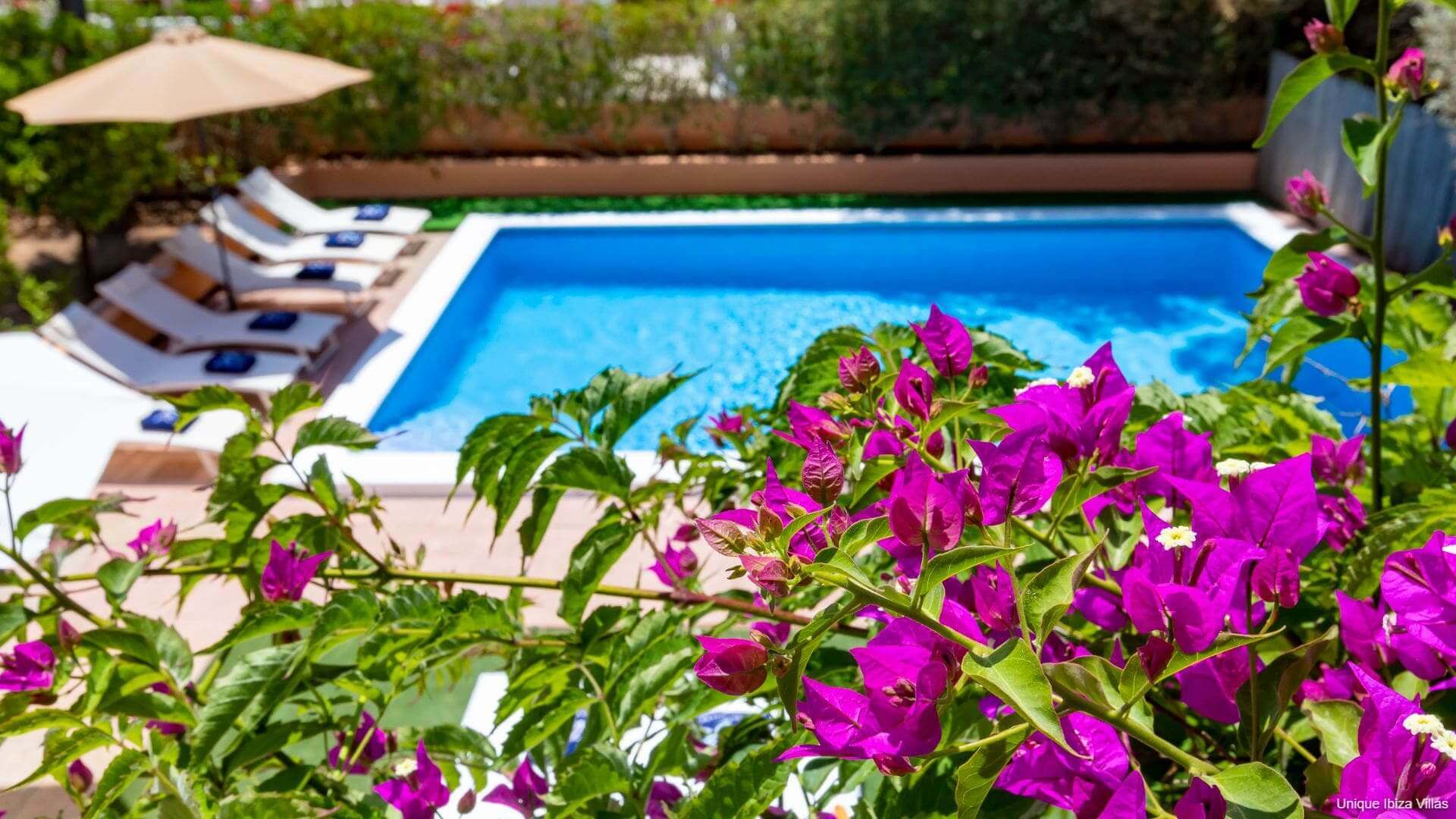 VILLA CAN OLIVOS - 6 Bedrooms - San Rafael/San Antonio (Rural)