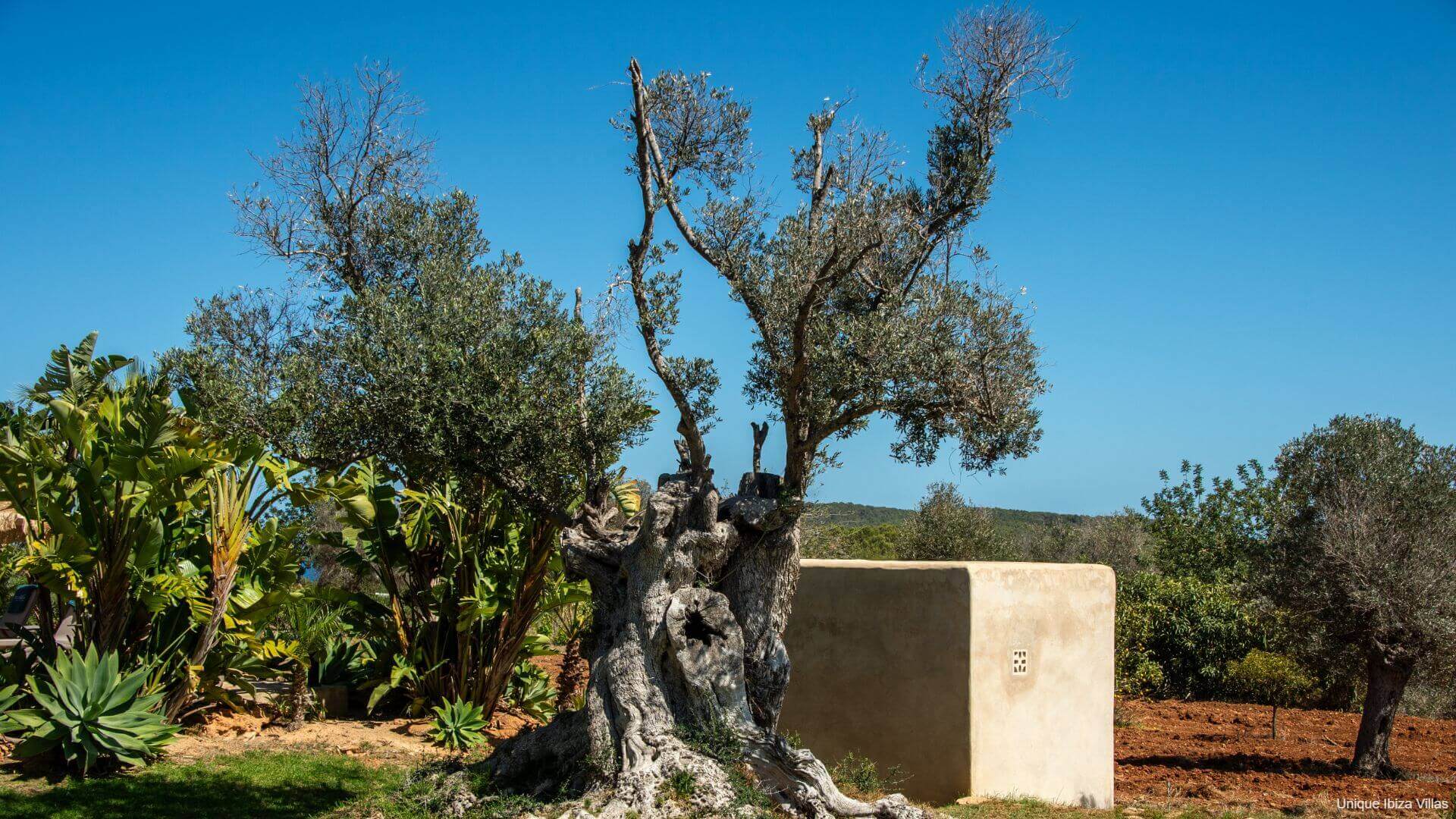VILLA ANDREUET - 4 Bedrooms - San Carlos/Aguas Blancas (Rural)