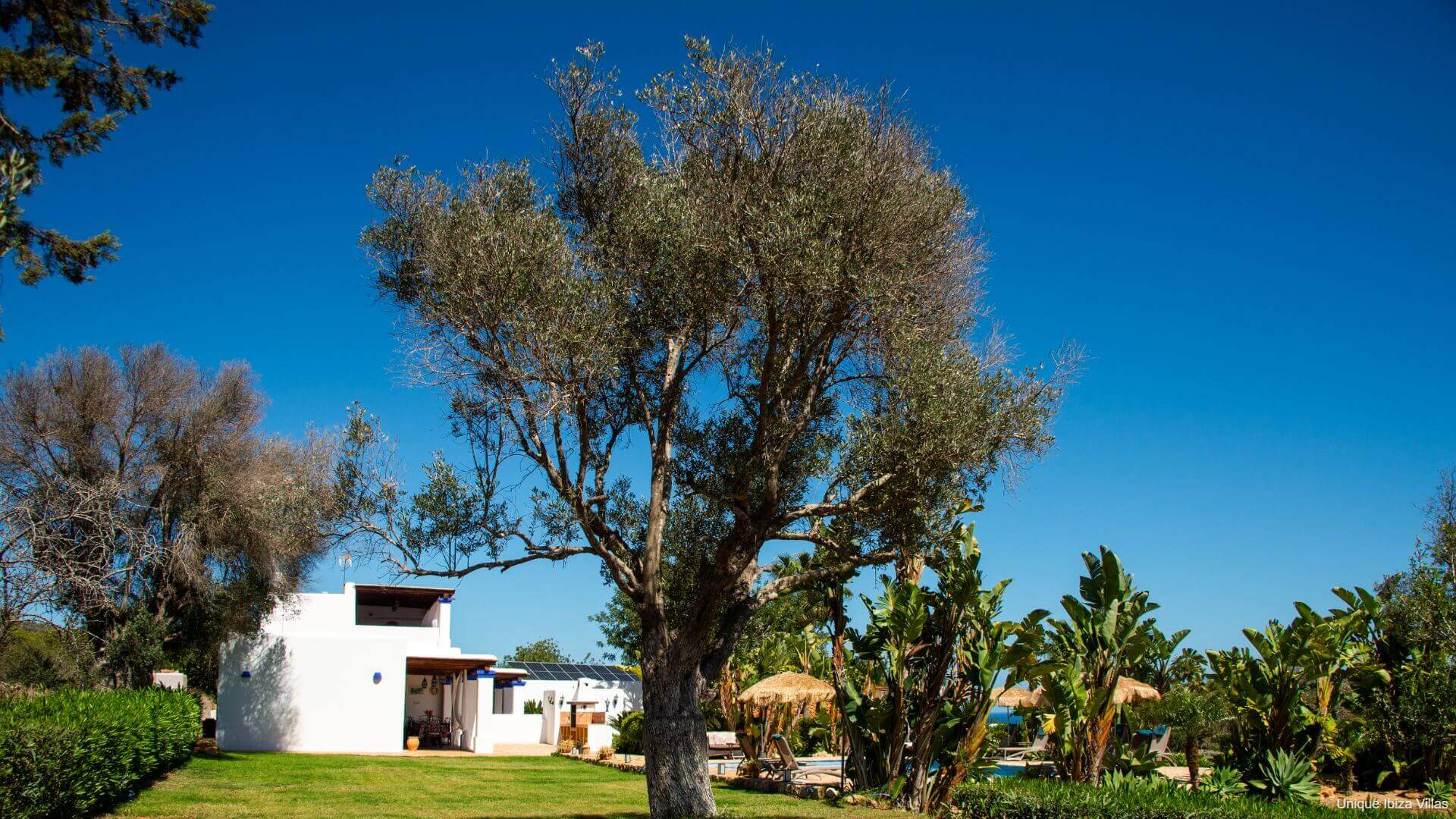VILLA ANDREUET - 4 Bedrooms - San Carlos/Aguas Blancas (Rural)