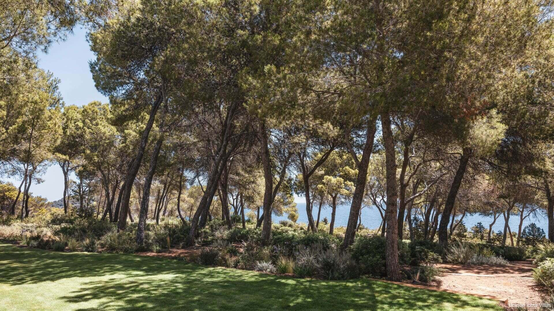 VILLA AUREA - 6 Bedrooms - Aguas Blancas/San Carlos 