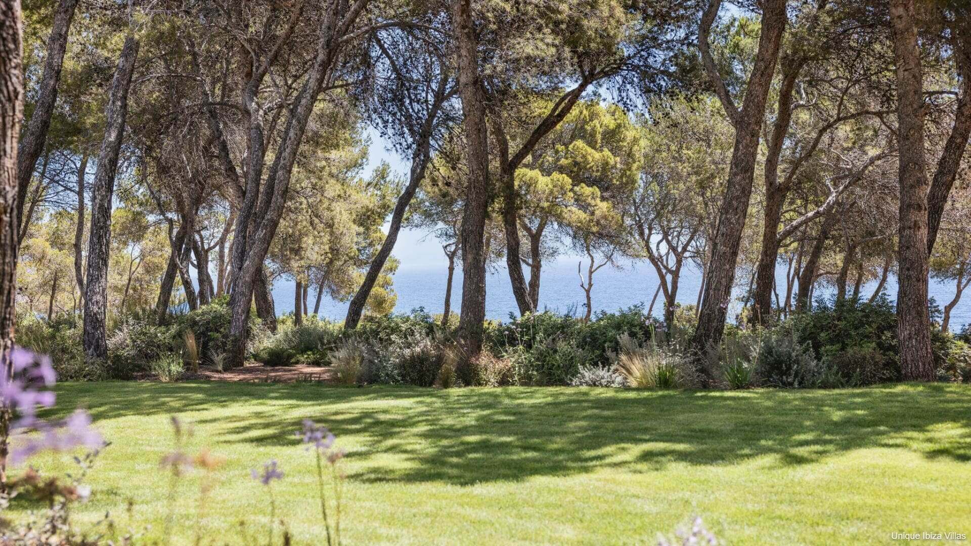 VILLA AUREA - 6 Bedrooms - Aguas Blancas/San Carlos 