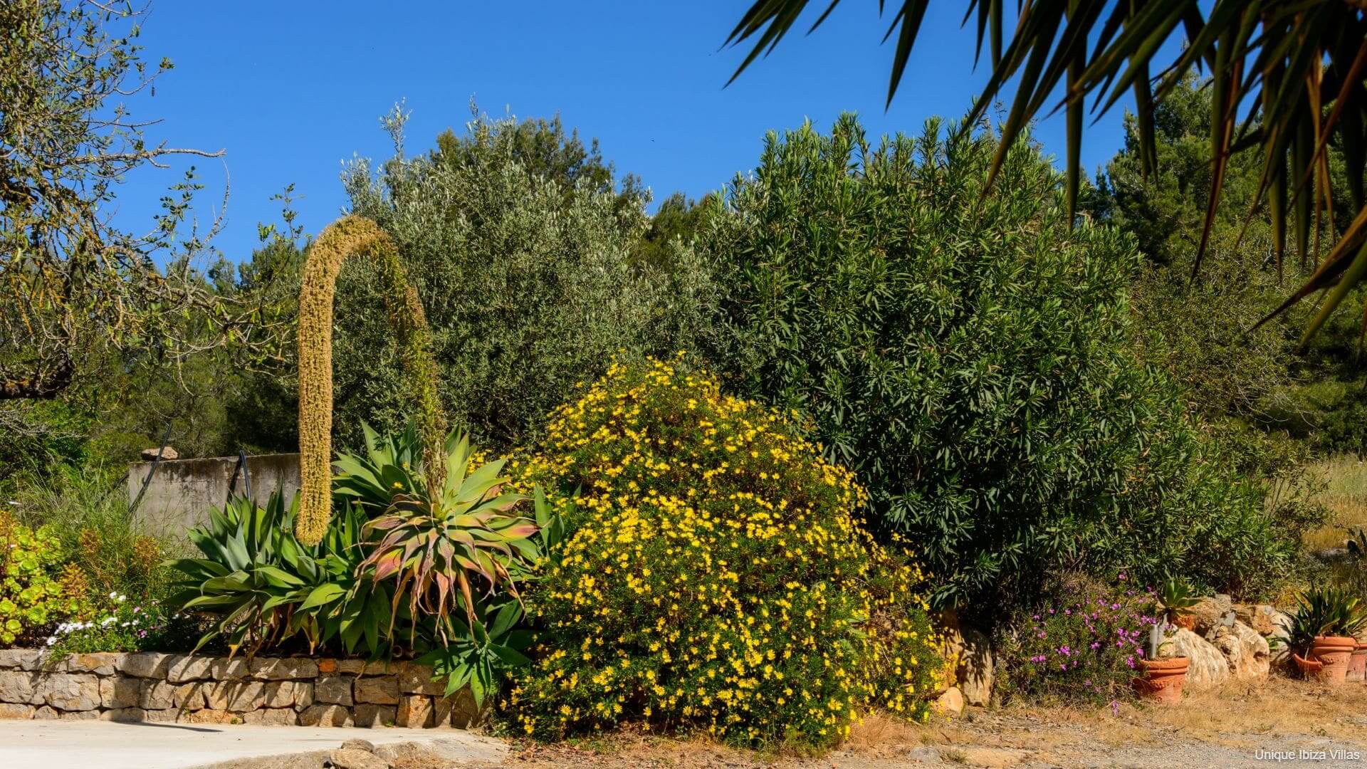 VILLA CAN PEP PUIG - 4 Bedrooms - San Mateu/Soho Farmhouse/Santa Gertrudis (Rural)