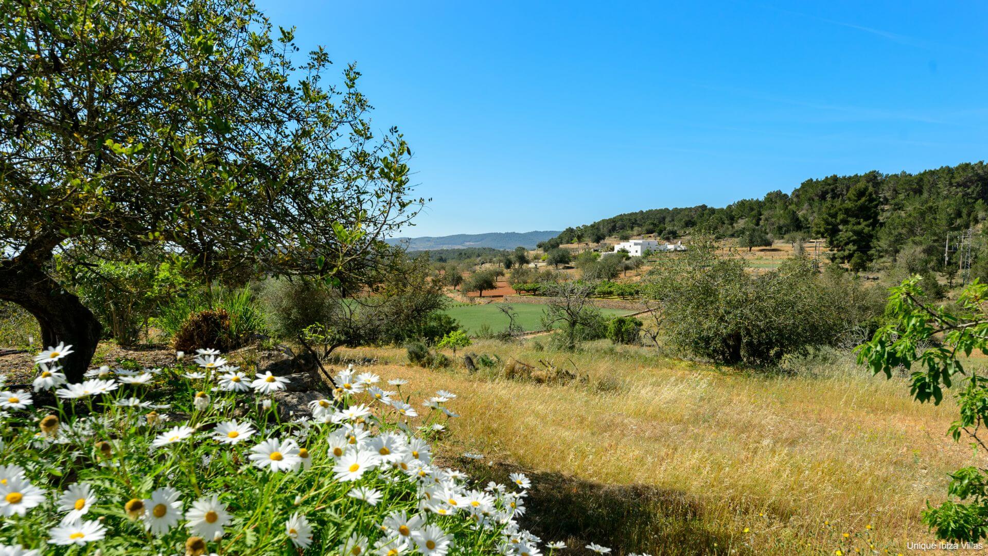VILLA CAN PEP PUIG - 4 Bedrooms - San Mateu/Soho Farmhouse/Santa Gertrudis (Rural)