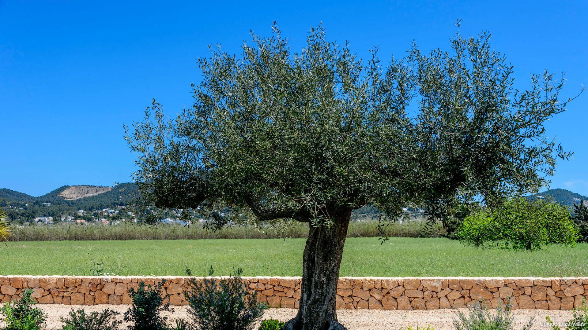 CAN JAUME ARABI DE BAIX - 4 Bedrooms - Near Ibiza Town