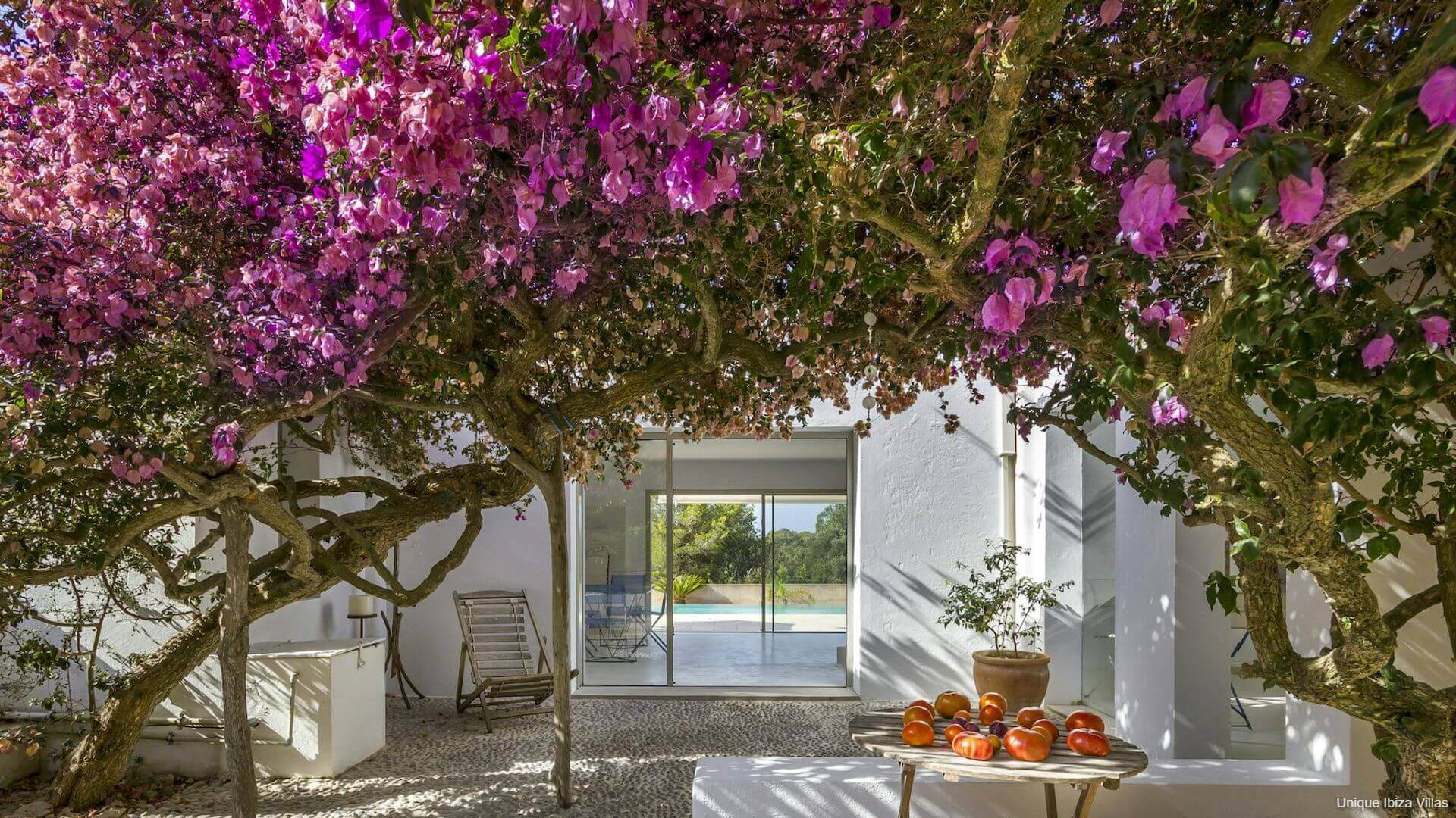 VILLA CASA FLOR - 2 Bedrooms - Cap Martinet/Talamanca