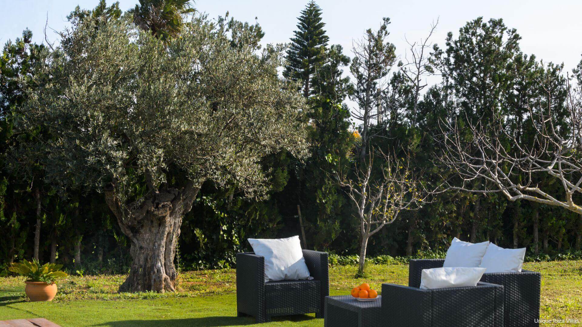 VILLA ANUR - 3 Bedrooms - San Jordi Near Playa den Bossa/Ibiza Town