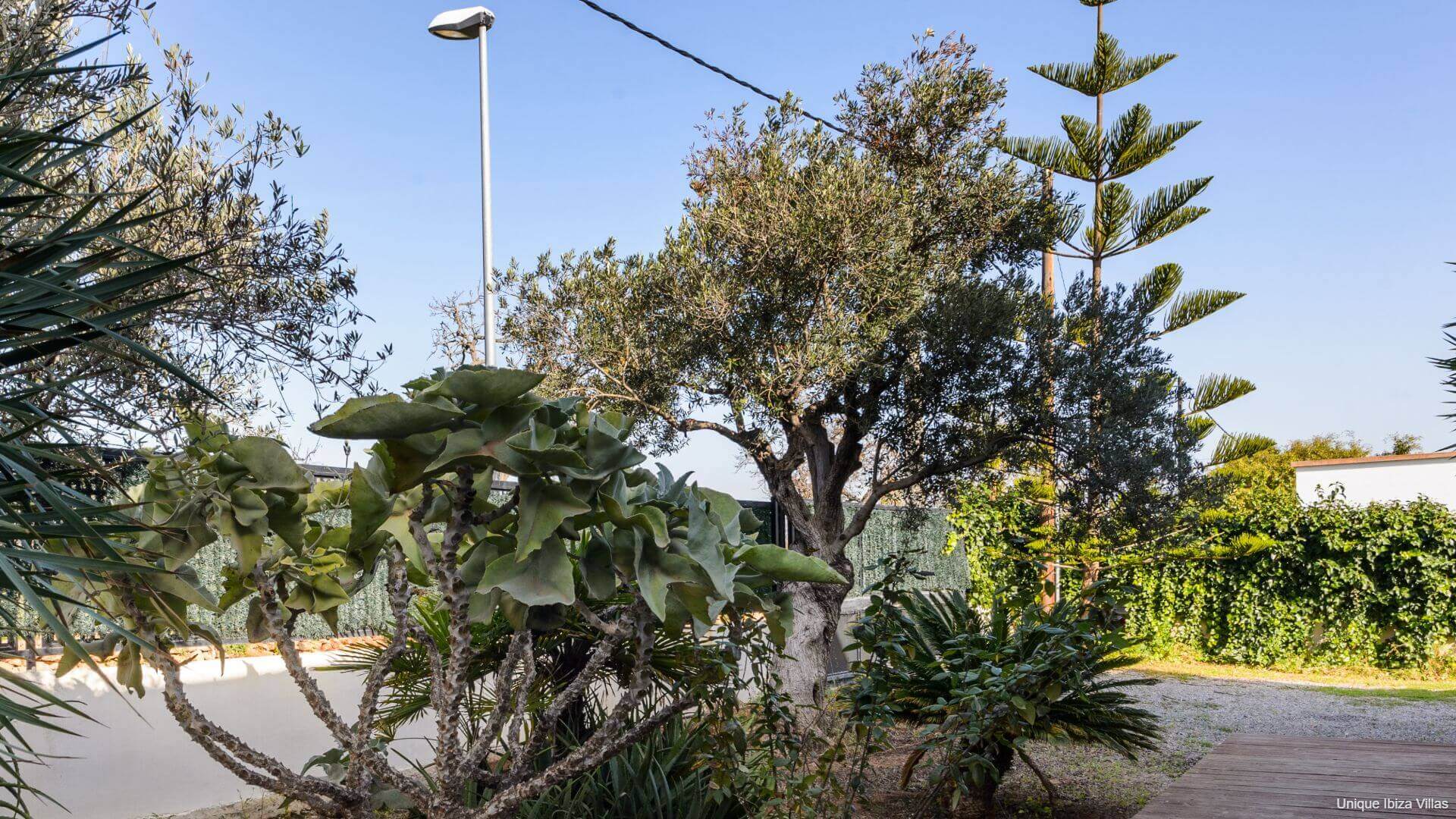 VILLA ANUR - 3 Bedrooms - San Jordi Near Playa den Bossa/Ibiza Town