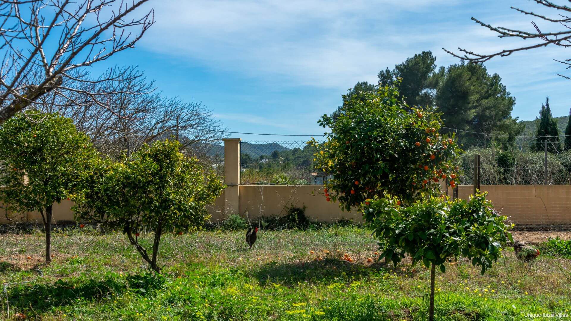 VILLA CAN TRUYET - 4 Bedrooms - Santa Eulalia/Santa Gertrudis