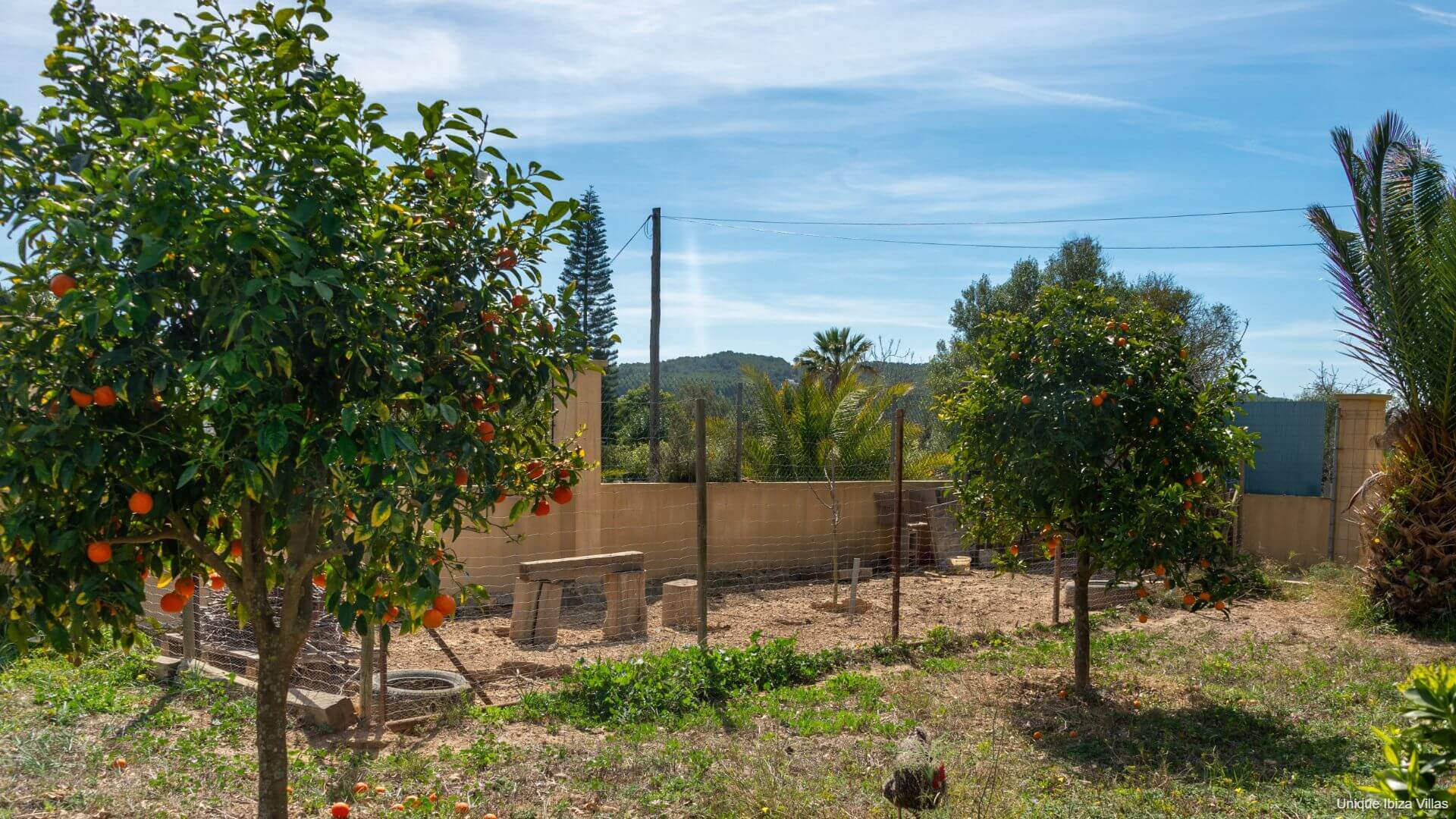VILLA CAN TRUYET - 4 Bedrooms - Santa Eulalia/Santa Gertrudis