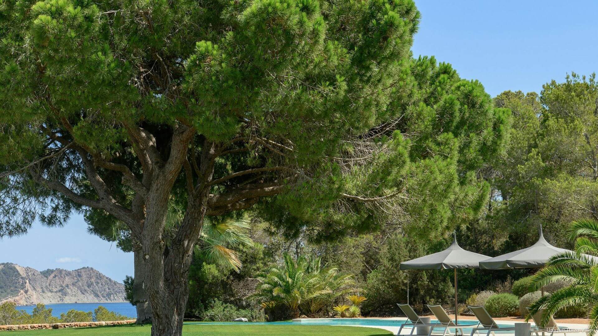 VILLA CAN TAURINO - 5 Bedrooms - Sa Caleta Near Cala Jondal