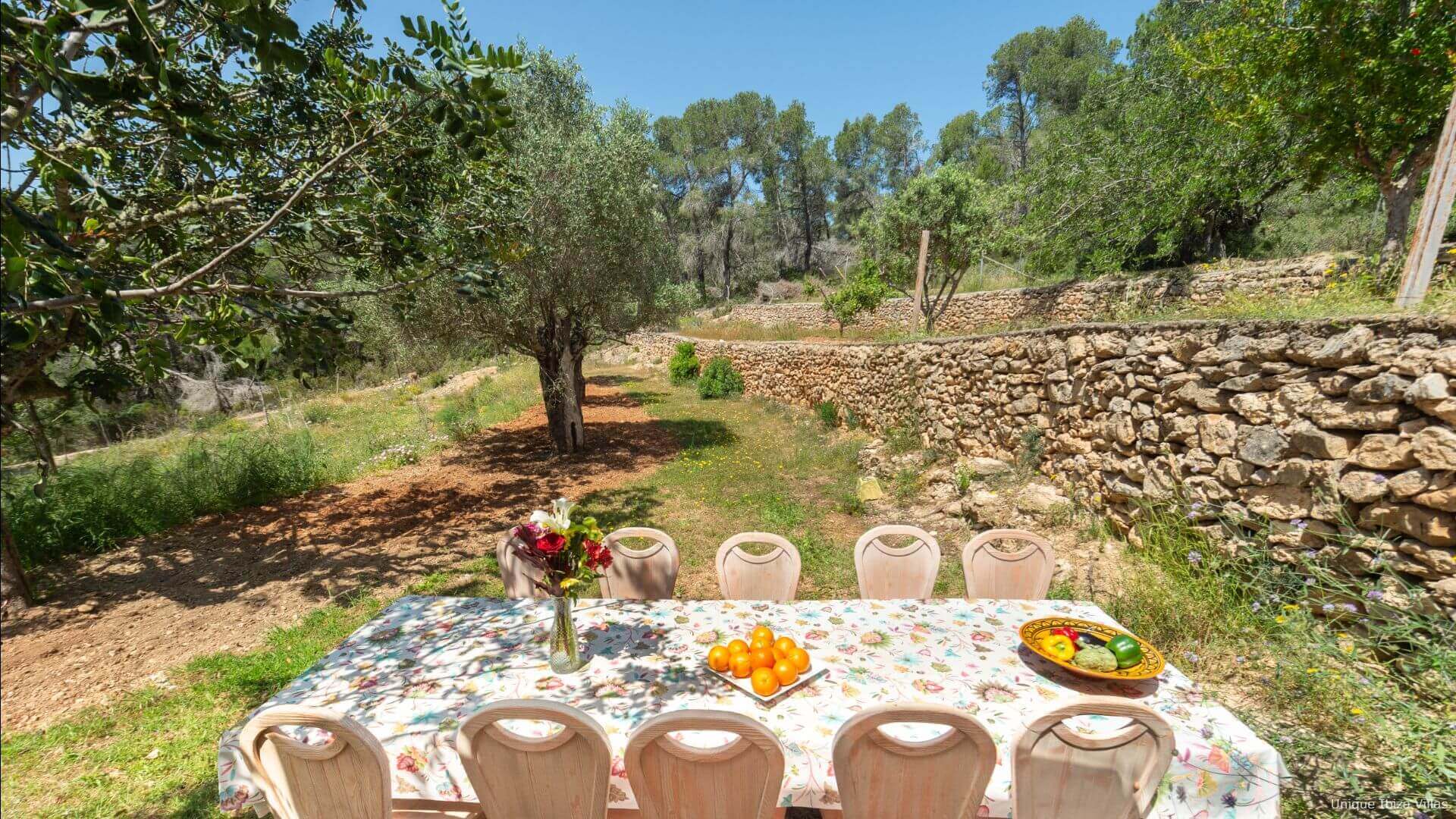 VILLA ARMONIA - 4 Bedrooms - Cala Salada (Sunsets)