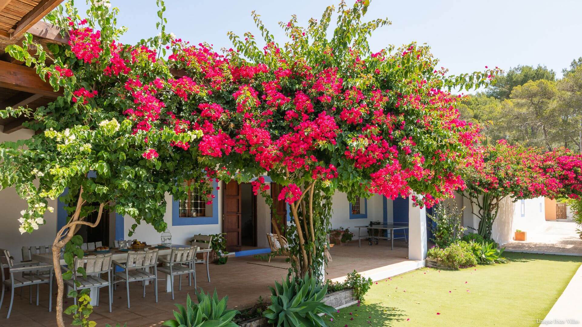 VILLA CAN TORRES - 3 Bedrooms - Santa Eulalia/Cala Llonga 
