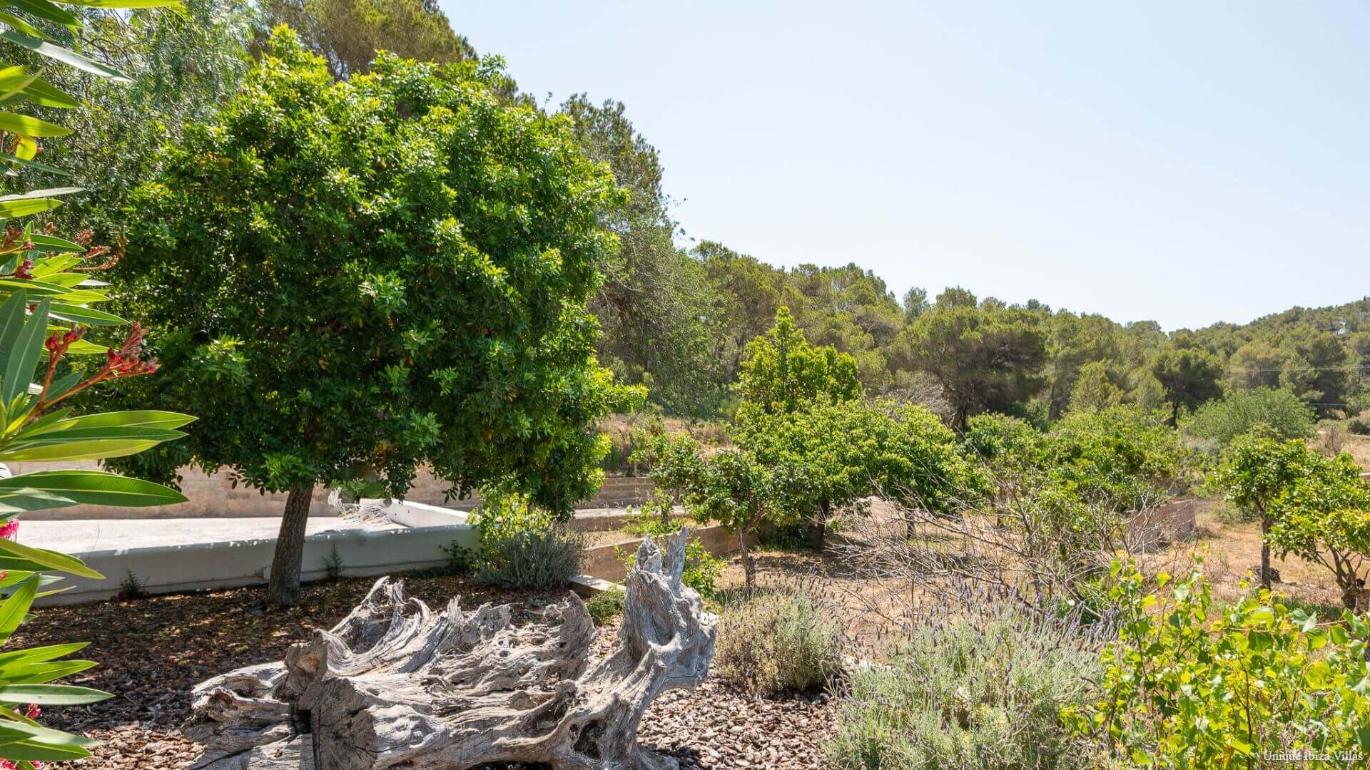 VILLA CAN TORRES - 3 Bedrooms - Santa Eulalia/Cala Llonga 