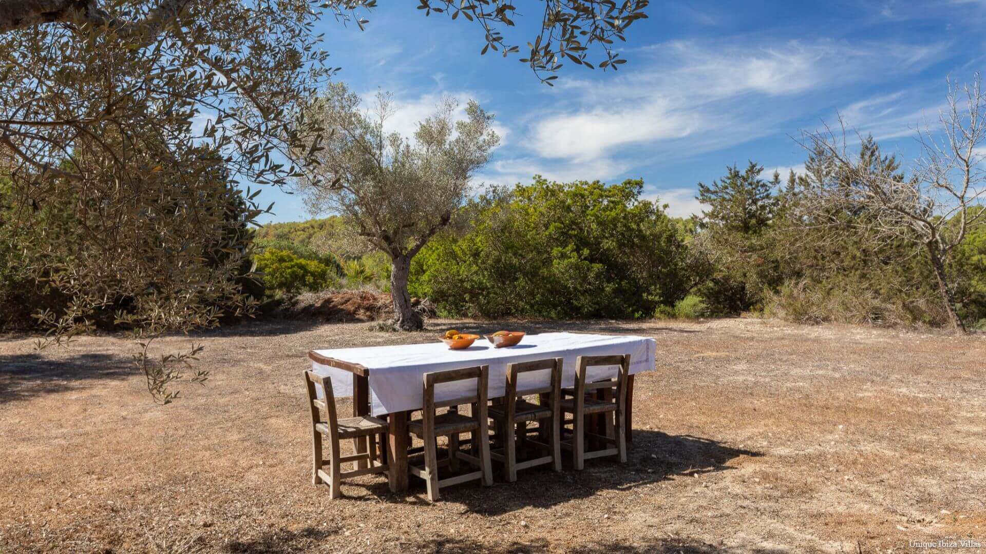 VILLA GILBERT - 5 Bedrooms - Santa Gertrudis (Rural)