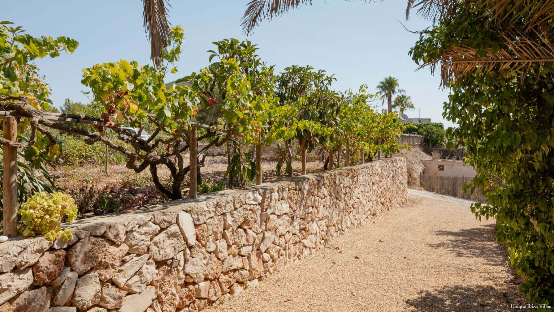VILLA ROMERO II - 4 Bedrooms - Cala d'Hort/Es Cubells