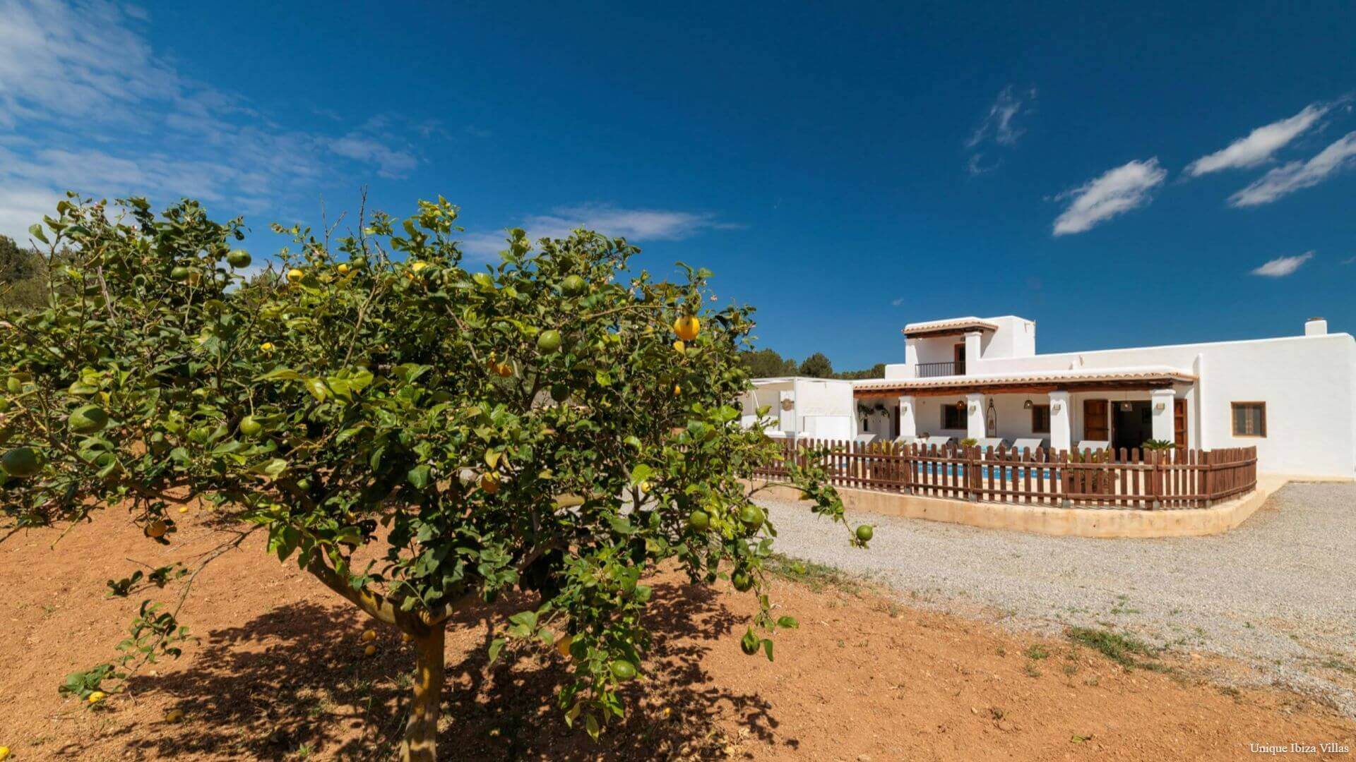 VILLA SA TARONGERADA - 3 Bedrooms - Cala Llonga (Walk To Beach)