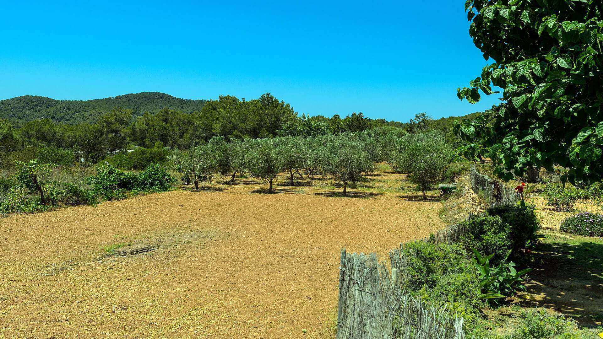 VILLA CASA BENIRRAS - 3 Bedrooms - Benirras   